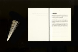 Cadratype-cadra-type-Dictionnaire-Typographique-3