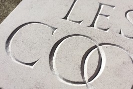 cadra-type-Cadatype-Gravure-les-coqs-2