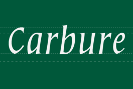 Cadra-type-Cadratype-Carbure-Type-10