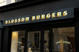 CadraType_Cadra_type_Blossom_Web_3