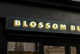 CadraType_Cadra_type_Blossom_Web_4